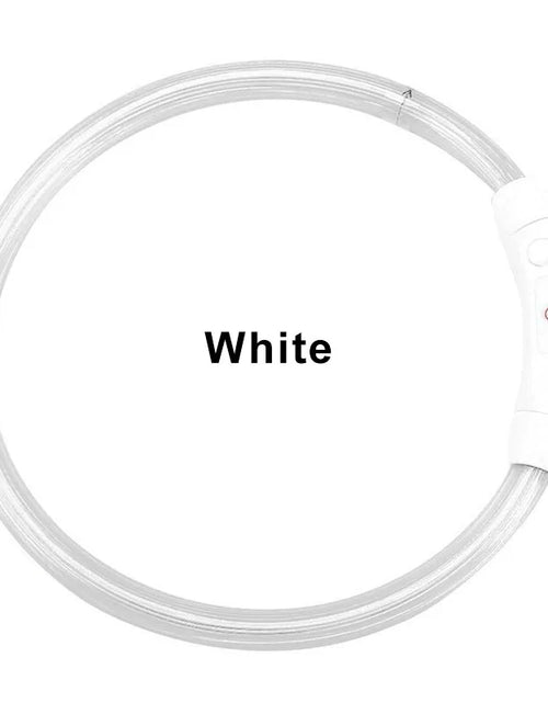 Load image into Gallery viewer, LED Collar Night Safety For Pets
