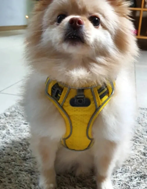 Load image into Gallery viewer, Breathable Dog Harness

