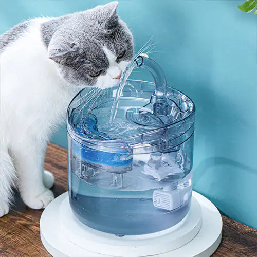 Load image into Gallery viewer, Drinking Bowl Auto Drinking Filter for Pets
