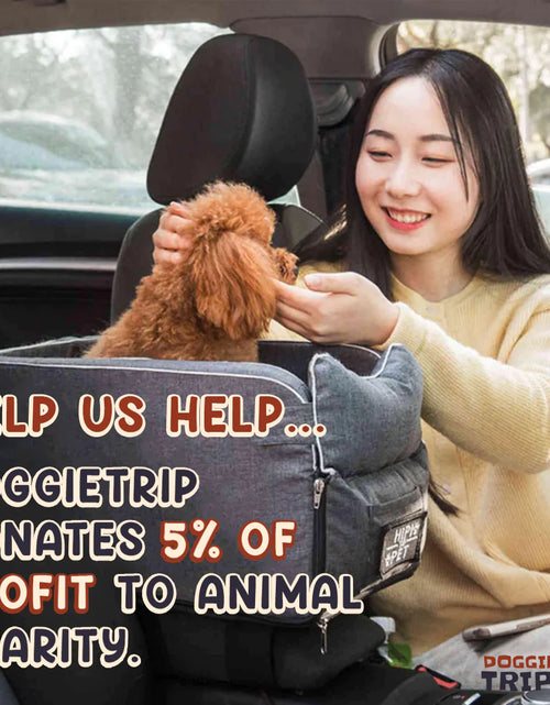 Load image into Gallery viewer, Safety Car Seat For Small Pets

