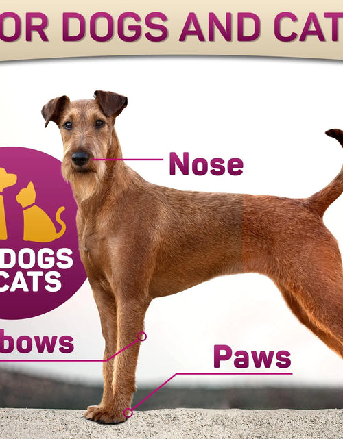Load image into Gallery viewer, Natural Dog Paw Balm Dog Paw Protection for Hot Pavement Dog Paw Wax 2 oz
