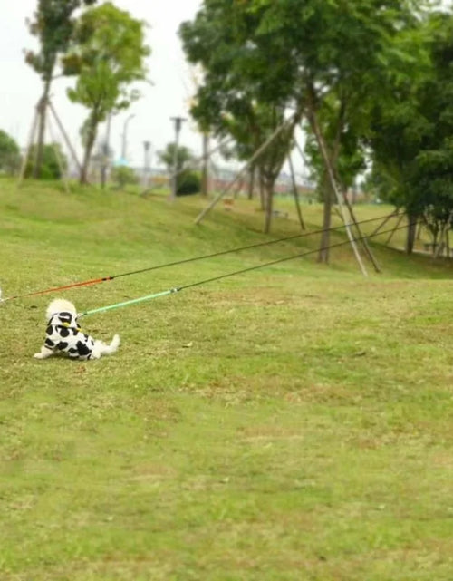 Load image into Gallery viewer, Dog Collars - 2 In 1 Dog Leash
