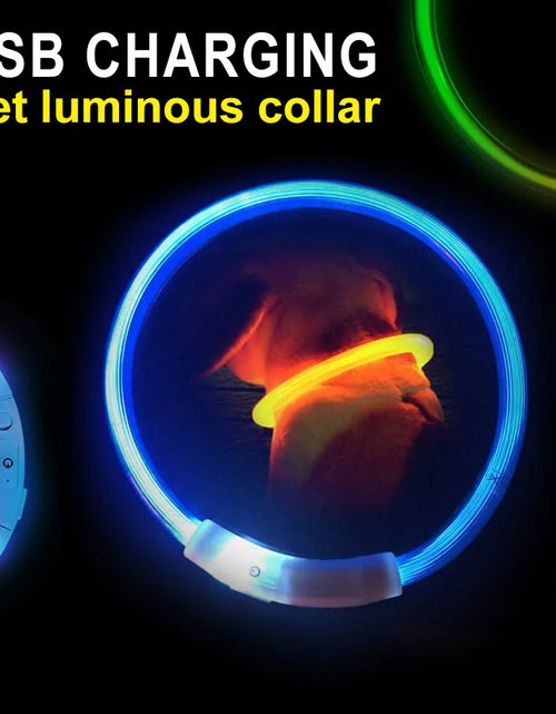 Load image into Gallery viewer, LED Collar Night Safety For Pets
