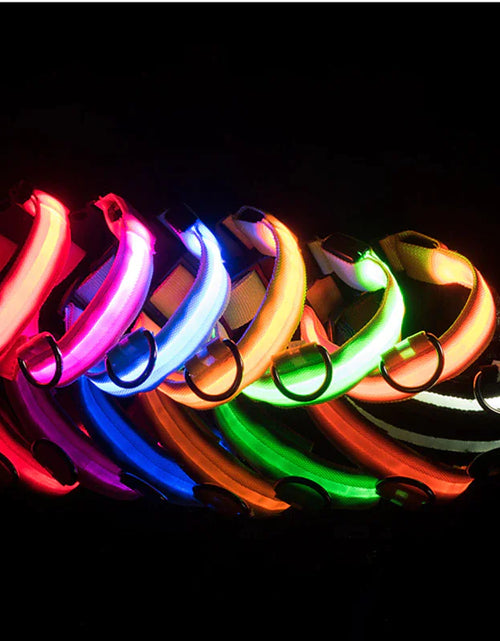 Load image into Gallery viewer, LED Adjustable Dog Collar Blinking Flashing Light Up Glow Pets Safety Waterproof
