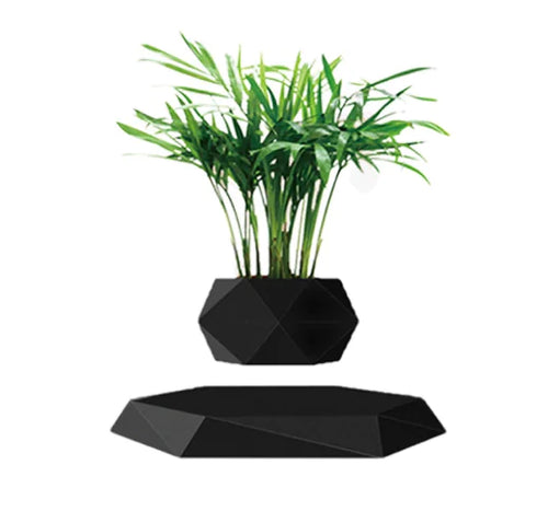 Load image into Gallery viewer, Levitating Air Bonsai Pot
