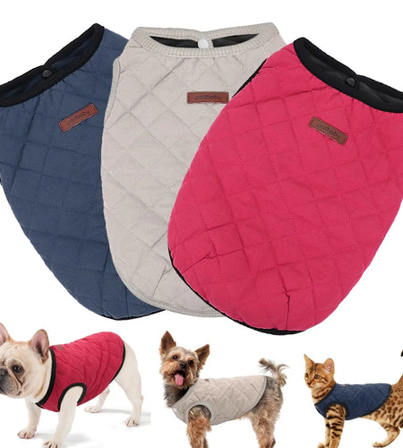 Dog Winter Jacket