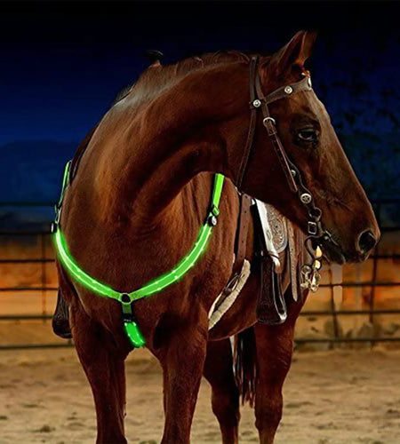 Nylon LED Horse Harness