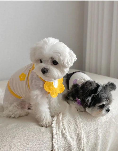 Load image into Gallery viewer, Pets Cute Knit Bibs
