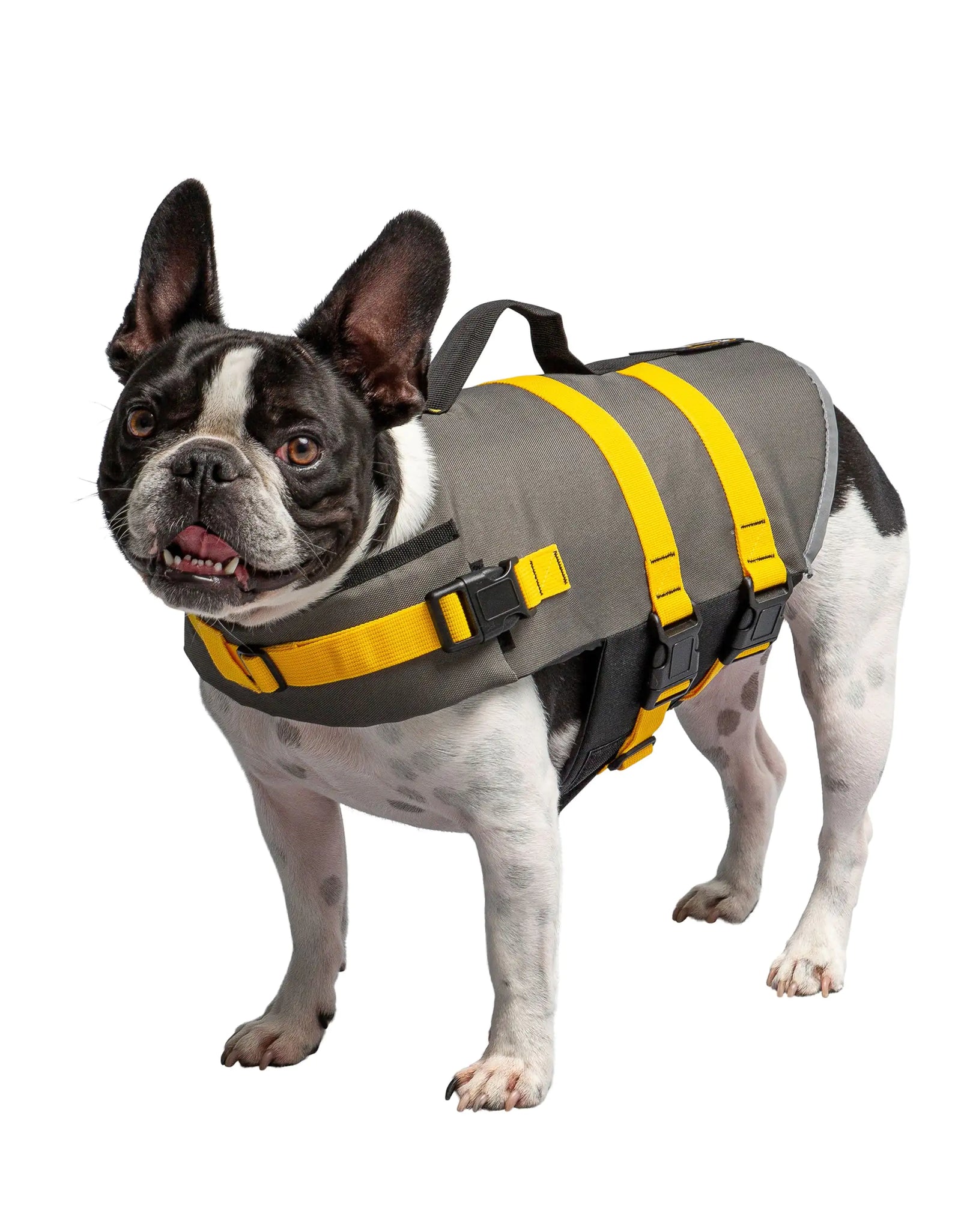 Army Dog Vest