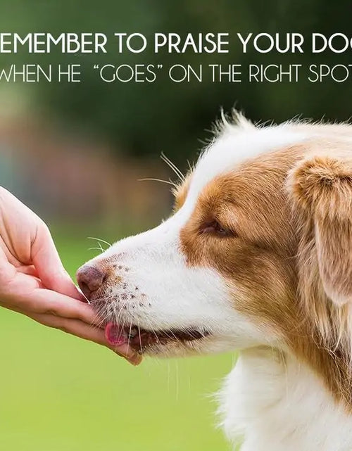 Load image into Gallery viewer, Pet Potty Training Spray
