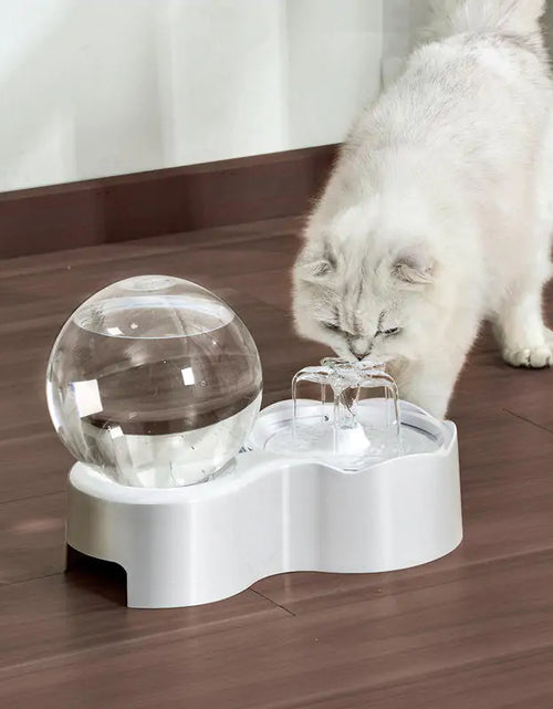 Load image into Gallery viewer, Cats and Dogs Bowl
