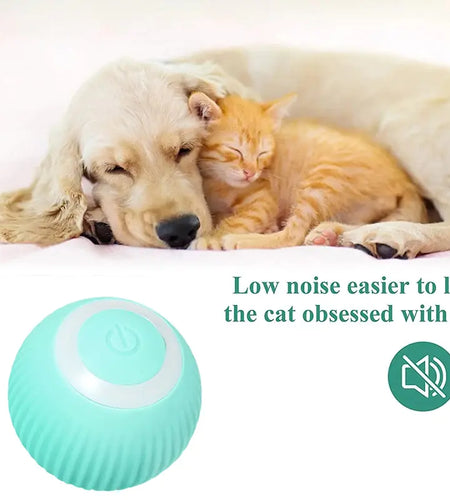 Electric Smart Ball Toys for Pets