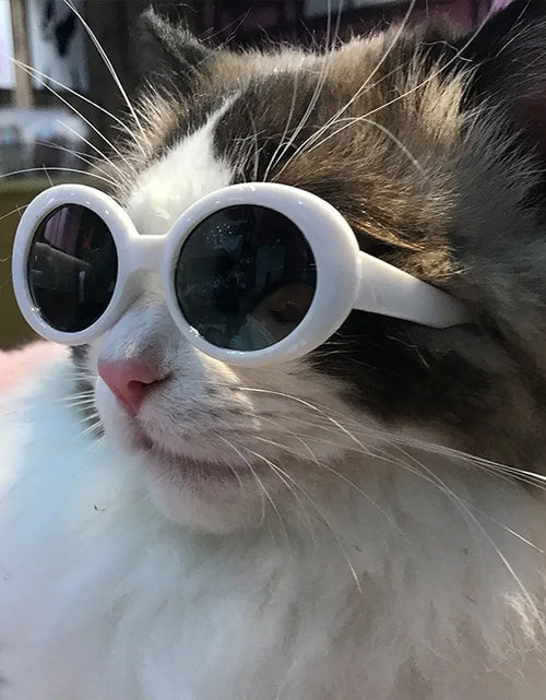 Load image into Gallery viewer, Dog Cat Sunglasses
