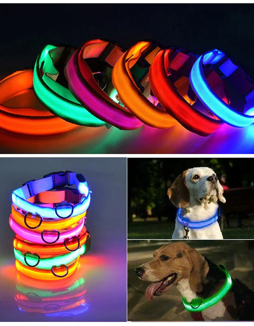 Load image into Gallery viewer, LED Adjustable Dog Collar Blinking Flashing Light Up Glow Pets Safety Waterproof
