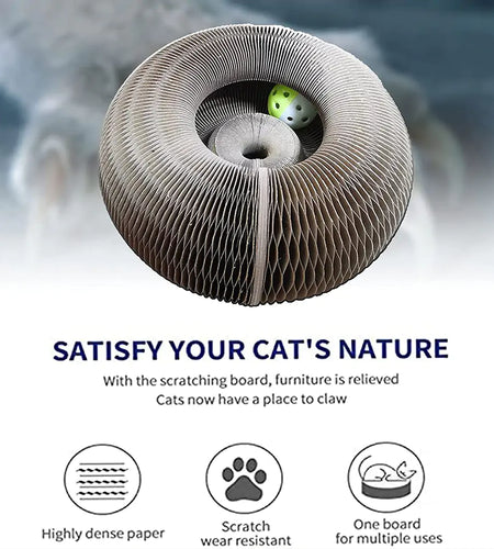 Cat Scratcher