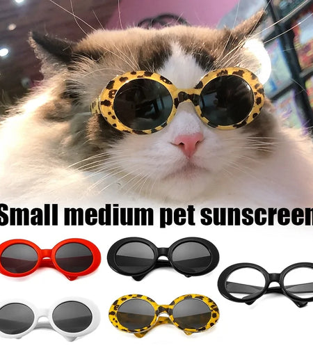 Dog Cat Sunglasses