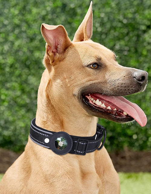 Load image into Gallery viewer, Airtag Dog Collar
