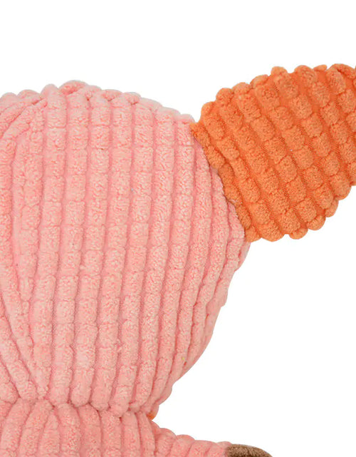 Load image into Gallery viewer, Squeaky Pet Toys
