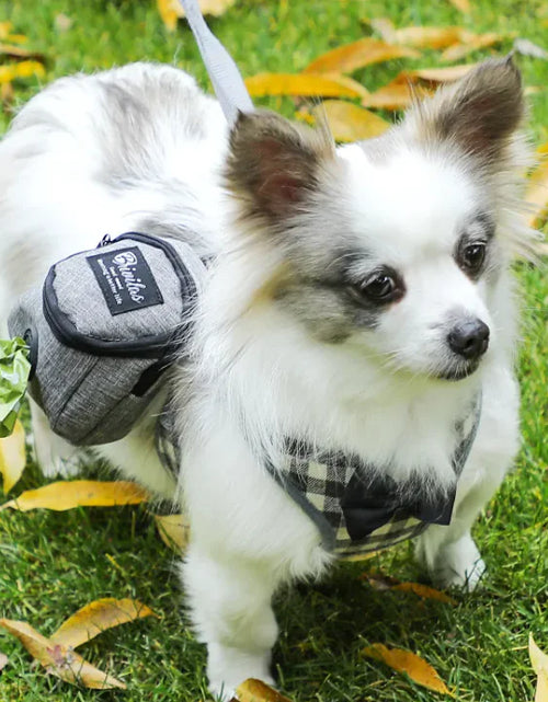 Load image into Gallery viewer, Pet Voyage Fashion Carrier
