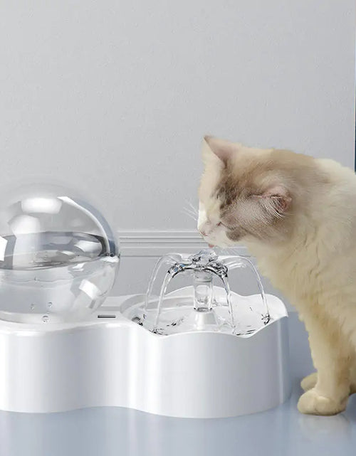 Load image into Gallery viewer, Cats and Dogs Bowl
