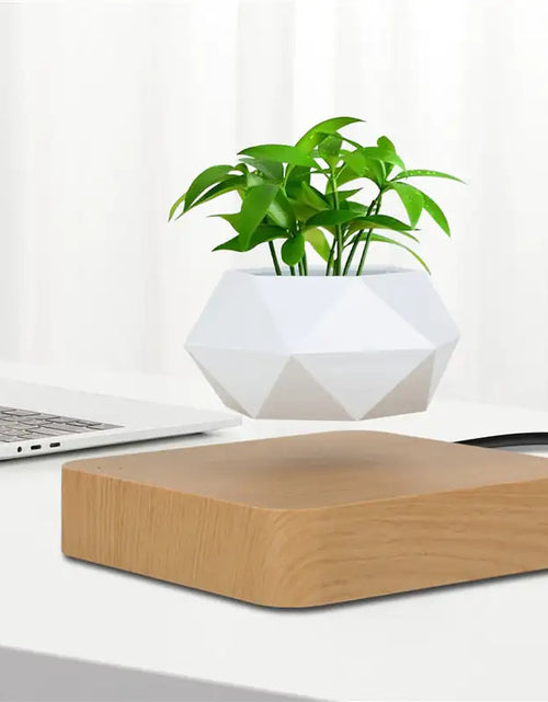 Load image into Gallery viewer, Levitating Air Bonsai Pot
