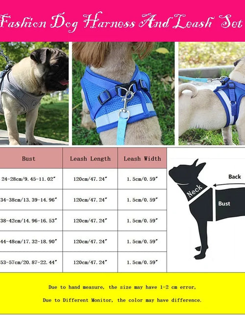 Load image into Gallery viewer, Secure Reflective Harness Set For Small Pets
