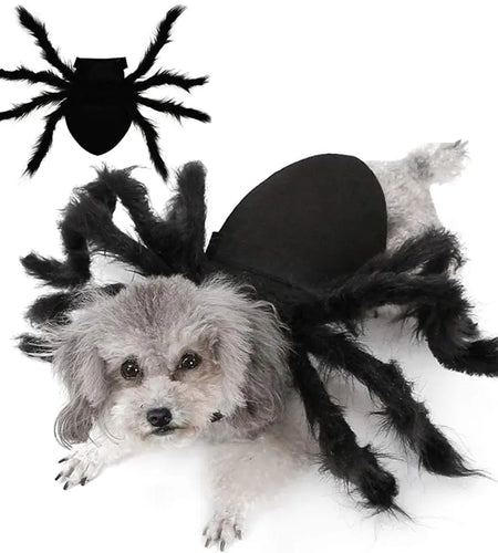 Halloween Spider Costume for Pets