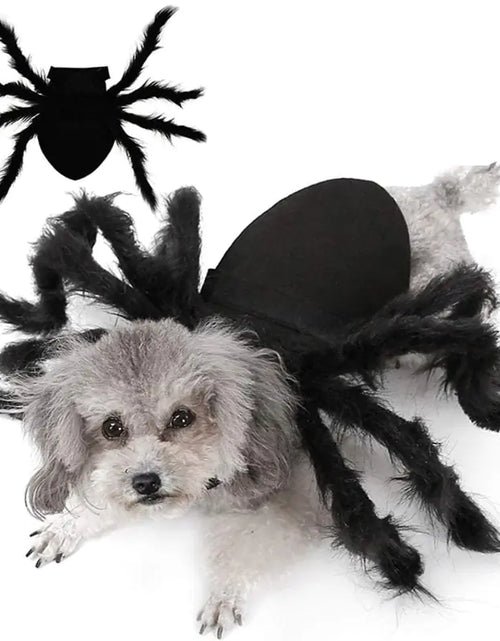 Load image into Gallery viewer, Halloween Spider Costume for Pets
