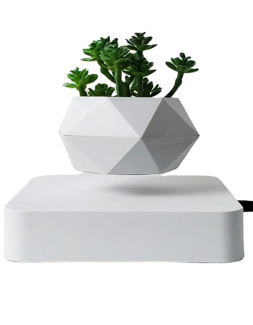 Load image into Gallery viewer, Levitating Air Bonsai Pot
