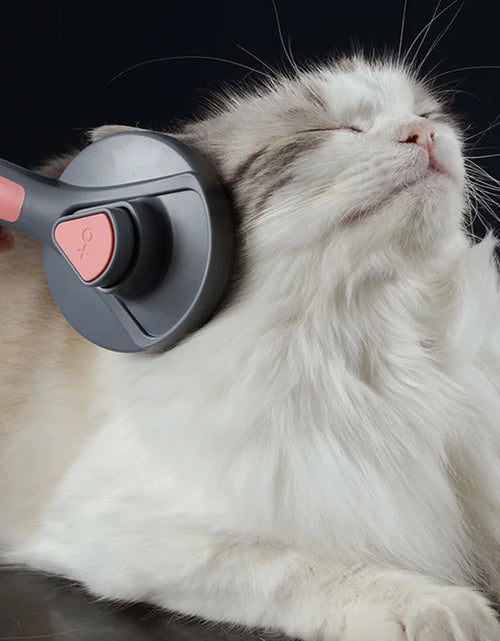 Load image into Gallery viewer, Pets Grooming Brush
