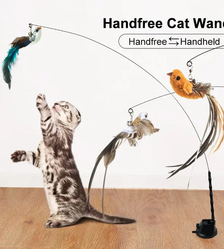 Interactive Toys for Cats