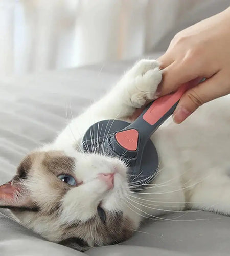 Anti-Hair Brush for Cats
