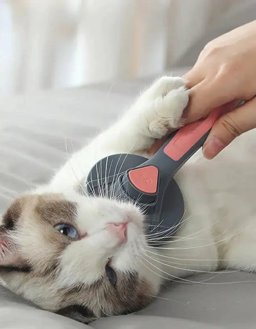 Load image into Gallery viewer, Anti-Hair Brush for Cats
