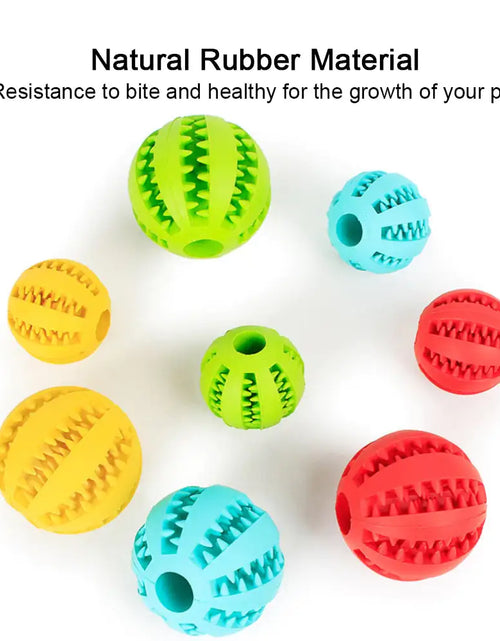 Load image into Gallery viewer, Interactive Pets Rubber Balls
