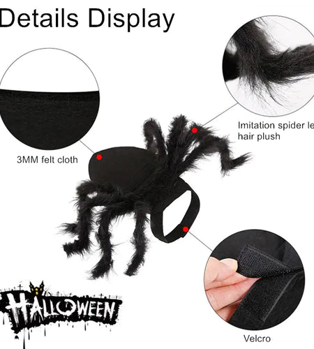 Halloween Spider Costume for Pets