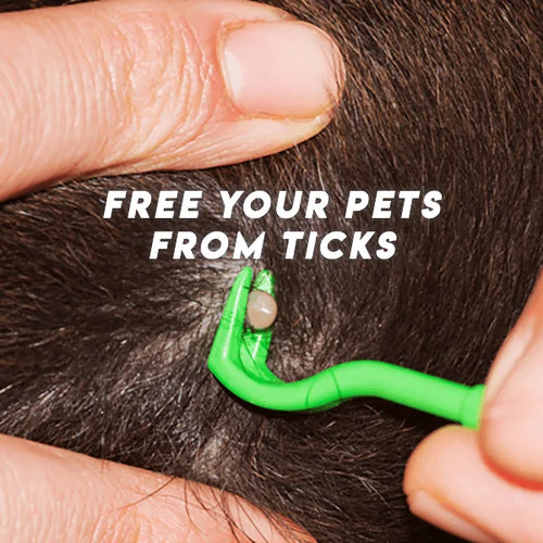 Load image into Gallery viewer, Pet Tick Remover

