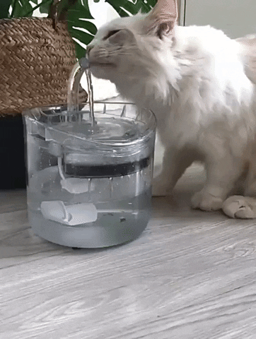 Load image into Gallery viewer, Drinking Bowl Auto Drinking Filter for Pets
