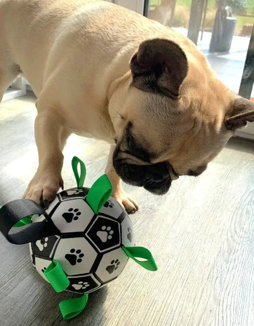 Load image into Gallery viewer, Interactive Dog Football
