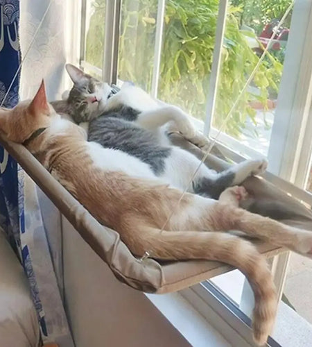 Suspended Bed for Pets