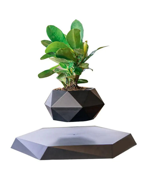 Load image into Gallery viewer, Levitating Air Bonsai Pot
