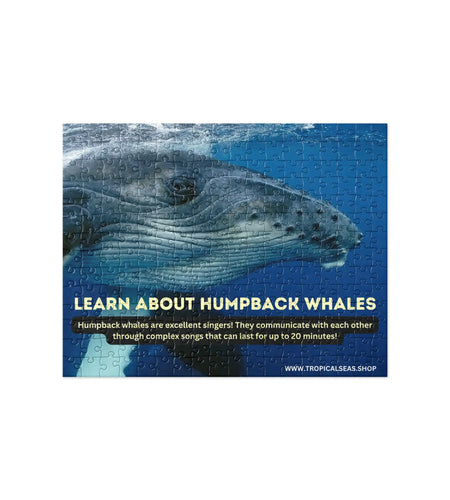 Humpback Whales Fun Fact Jigsaw puzzle