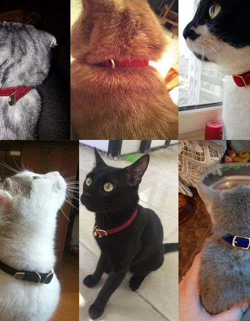 Load image into Gallery viewer, Collar For Small Cats &amp; Dogs
