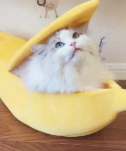 Load image into Gallery viewer, Funny Banana Cats Bed House
