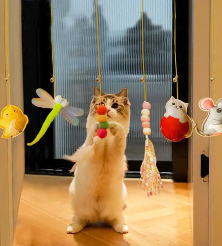 Swinging Toys for Cats