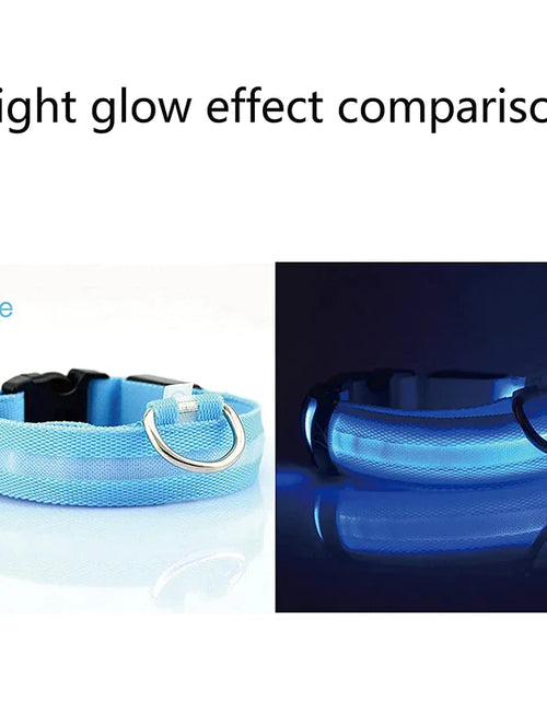 Load image into Gallery viewer, LED Adjustable Dog Collar Blinking Flashing Light Up Glow Pets Safety Waterproof
