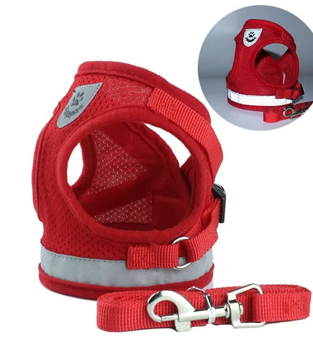 Secure Reflective Harness Set For Small Pets