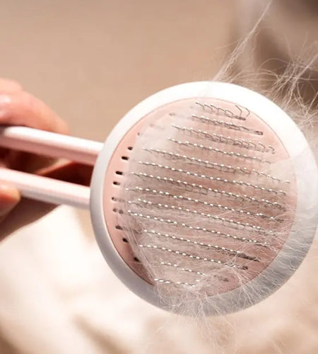 Automatic Hair Remover & Massage Comb For Cats And Dogs