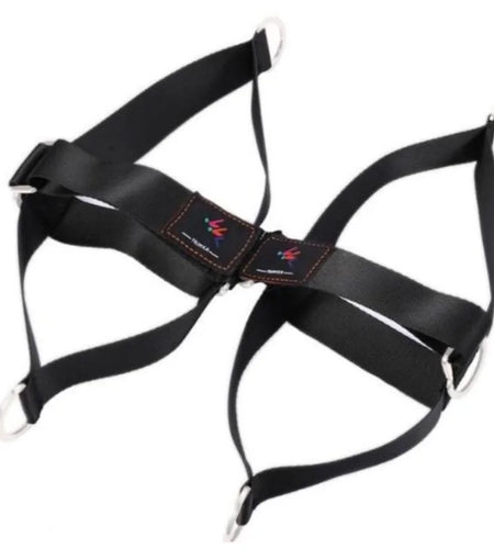 Complete Leg Workout Universal Multi-Ring Straps