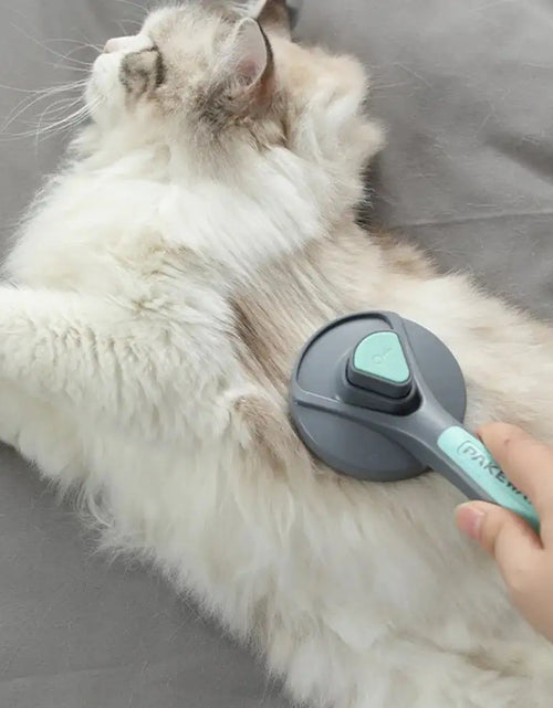 Load image into Gallery viewer, Anti-Hair Brush for Cats
