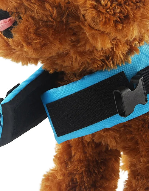Load image into Gallery viewer, Dog Life Vest
